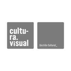 Cultura visual