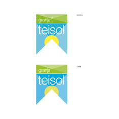 TEISOL
