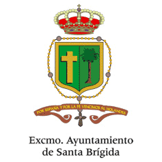 Ayuntamiento de Santa Brígida – Versión histórica
