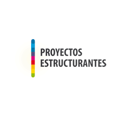 Proyecto Estructurante