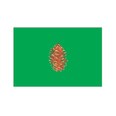 El Pinar