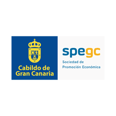 SPEGC Sociedad Promoción Económica Gran Canaria – Versión 2017