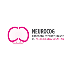 NEUROCOG Proyecto Estructurante