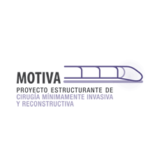 MOTIVA Proyecto Estructurante