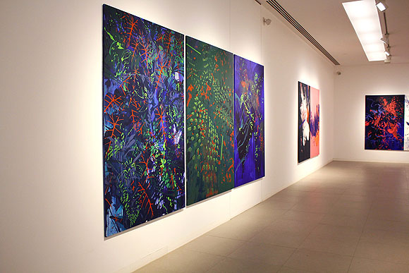 Ana Beltrá presenta sus nuevas obras en la Fundación Canaria para el Desarrollo de la Pintura // CanariasCreativa.com