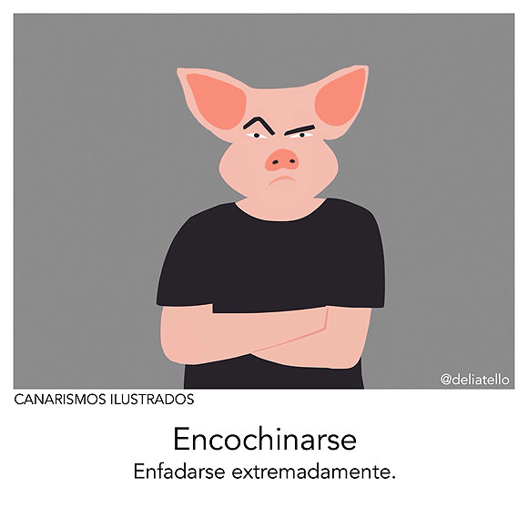 Los «canarismos ilustrados» de Delia Tello llegan a Regia Comedy // CanariasCreativa.com