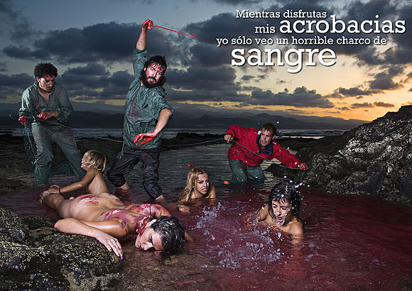Irraciocinio: fotografía a dúo contra el maltrato animal