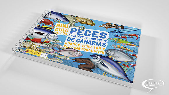 Trazando la vida en vector