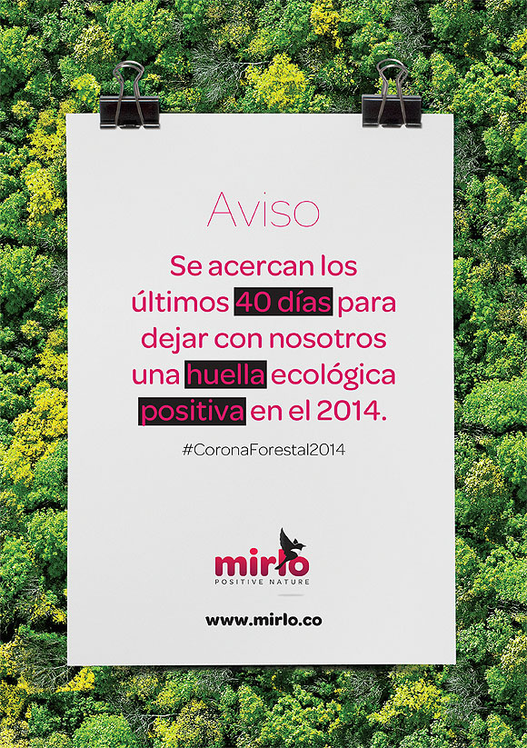 El Cabildo de Tenerife y Mirlo Positive Nature piden la colaboración ciudadana para plantar este otoño 500 árboles y retener 139 Toneladas de CO2