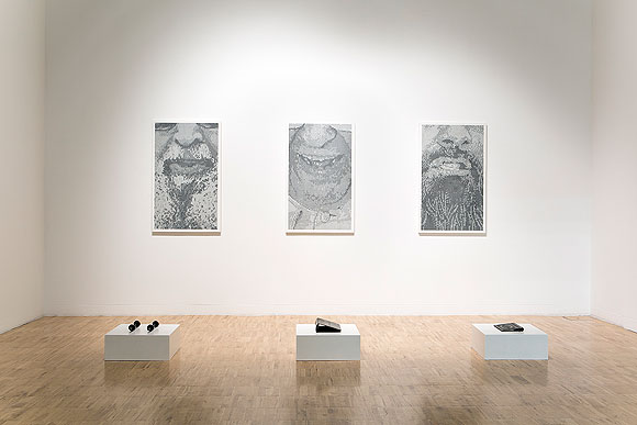 El artista canario Acaymo S. Cuesta muestra su obra reciente en Las Rozas // CanariasCreativa.com