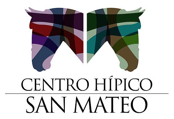 Experiencia demostrada